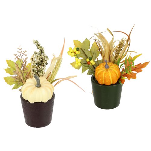 4019844814236 - Kunstblume IGEA Gesteck Kürbis Beeren beige (creme orange) B12cm H18cm L12cm Polyester Kunstpflanzen 2er Set im Topf Herbstlaub Dekoblume Herbst-Deko Herbstblume Gesteck 4019844814236 - Kunstblume IGEA Gesteck Kürbis Beeren beige (creme orange) B12cm H18cm L12cm Polyester Kunstpflanzen 2er Set im Topf Herbstlaub Dekoblume Herbst-Deko Herbstblume Gesteck