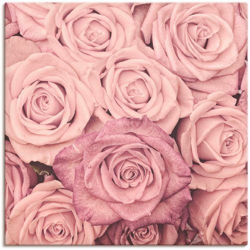 4057738070504 - Wandbild ARTLAND Rosen Bilder Gr B H 100 cm x 100 cm Leinwandbild Blumen 1 St pink Bild Kunstdruck Kunstdrucke Bilder als Leinwandbild Wandaufkleber oder Poster in versch Größen