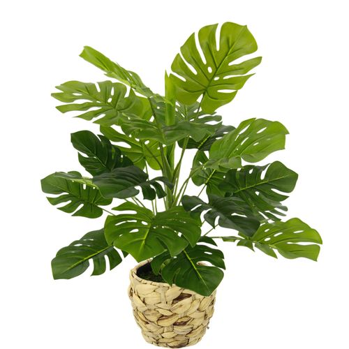 4019844791285 - Kunstpflanze IGEA Monstera Kunstpflanzen Gr B H L 35 cm x 46 cm x 35 cm grün Künstliche Zimmerpflanzen Mit Übertopf künstlicheSplitphilo-Pflanze 4019844791285 - Kunstpflanze IGEA Monstera Kunstpflanzen Gr B H L 35 cm x 46 cm x 35 cm grün Künstliche Zimmerpflanzen Mit Übertopf künstlicheSplitphilo-Pflanze