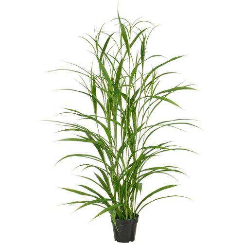 4064118325512 - Kunstgras CREATIV GREEN Grasbusch grün H130cm Kunststoff Kunstpflanzen mit filigranen Grashalmen 4064118325512 - Kunstgras CREATIV GREEN Grasbusch grün H130cm Kunststoff Kunstpflanzen mit filigranen Grashalmen