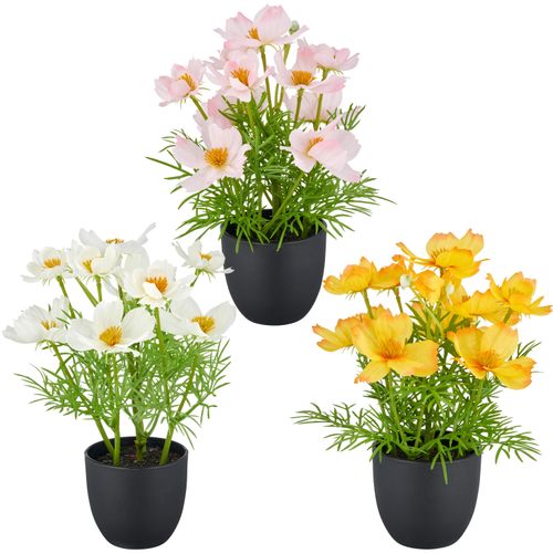 4064118326106 - Kunstpflanze CREATIV GREEN Cosmea bunt H22cm Kunststoff Kunstpflanzen mit farbenfrohen Blüten