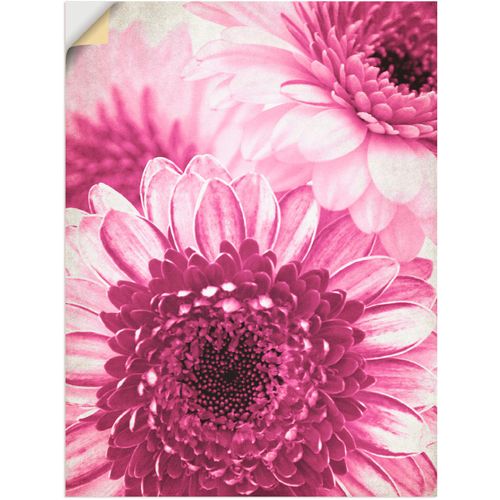 4057738716419 - Wandbild ARTLAND Pinke Gerbera Bilder Gr B H 60 cm x 80 cm Wandaufkleber - Vinyl Blumen 1 St pink Kunstdrucke Bilder als Leinwandbild Wandaufkleber oder Poster in versch Größen