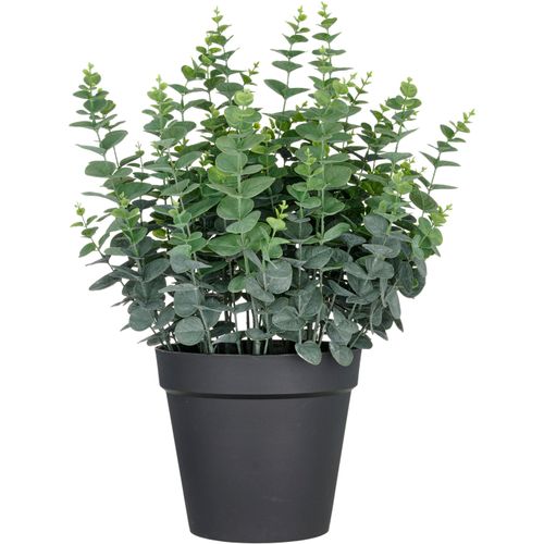 4064118325956 - Kunstpflanze CREATIV GREEN Eukalyptus gunnii grün (grün grau) H70cm Kunststoff Kunstpflanzen in UV-beständiger Ausführung 4064118325956 - Kunstpflanze CREATIV GREEN Eukalyptus gunnii grün (grün grau) H70cm Kunststoff Kunstpflanzen in UV-beständiger Ausführung