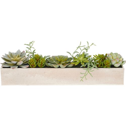 4064118325468 - Kunstpflanze CREATIV GREEN Sukkulenten grün B40cm H10cm T6cm Kunststoff Kunstpflanzen mit verschiedenen Sukkulenten arrangiert 4064118325468 - Kunstpflanze CREATIV GREEN Sukkulenten grün B40cm H10cm T6cm Kunststoff Kunstpflanzen mit verschiedenen Sukkulenten arrangiert
