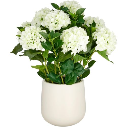 4064118325659 - Kunstpflanze CREATIV GREEN Hortensie beige (creme) H70cm Kunststoff Kunstpflanzen im eleganten Topf 4064118325659 - Kunstpflanze CREATIV GREEN Hortensie beige (creme) H70cm Kunststoff Kunstpflanzen im eleganten Topf