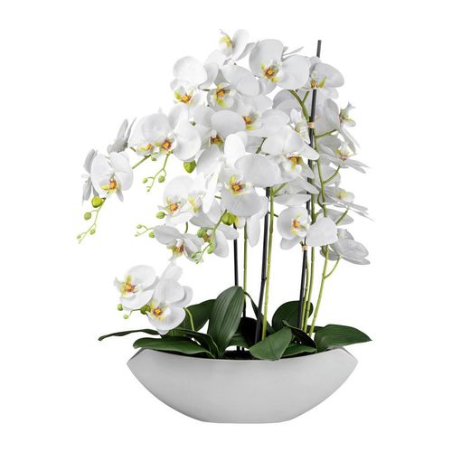 4064118248132 - P & B Kunstpflanze Grün Weiß Kunststoff 63 cm inkl Topf Dekoration Blumen & Zubehör Kunstpflanzen 4064118248132 - P & B Kunstpflanze Grün Weiß Kunststoff 63 cm inkl Topf Dekoration Blumen & Zubehör Kunstpflanzen
