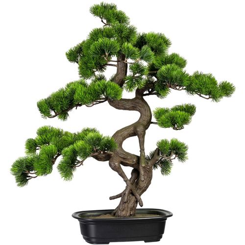 4064118072096 - Kunstbonsai CREATIV GREEN Bonsai Kiefer Kunstpflanzen Gr Ø H 50 cm x 65 cm 1 St grün Kunstbonsai Kunst-Bonsai Kunstpflanzen