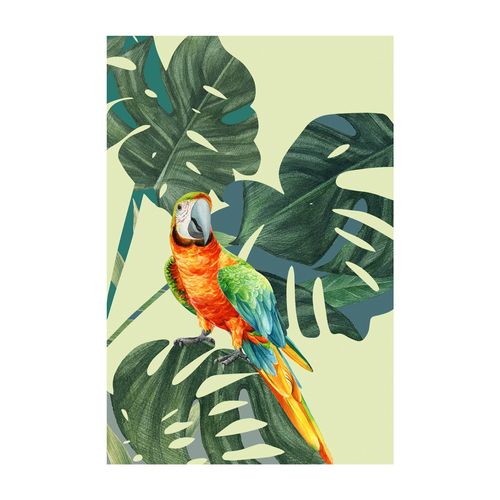 4055065179037 - Bild KOMAR Green-Winged Macaw bunt (farbe bild(er) bunt) B50cm H70cm Papier Holz Bilder Wandbild zur Dekoration - ohne Rahmen 4055065179037 - Bild KOMAR Green-Winged Macaw bunt (farbe bild(er) bunt) B50cm H70cm Papier Holz Bilder Wandbild zur Dekoration - ohne Rahmen