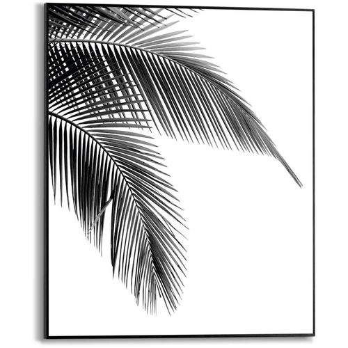 8714597576887 - Poster REINDERS Palmen Blatt Bilder Gr B H T 40 cm x 50 cm x 16 cm schwarz (schwarz weiß) Poster 8714597576887 - Poster REINDERS Palmen Blatt Bilder Gr B H T 40 cm x 50 cm x 16 cm schwarz (schwarz weiß) Poster