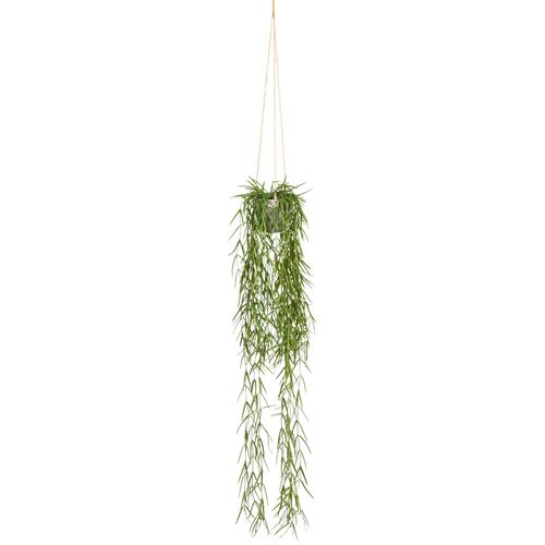 4064118842422 - Kunstranke CREATIV GREEN Tillandsia aeranthos im Hängetopf Kunstpflanzen Gr B H 10 cm x 90 cm 1 St grün Kunst-Ranken im Hängetopf aus Kunststoff 4064118842422 - Kunstranke CREATIV GREEN Tillandsia aeranthos im Hängetopf Kunstpflanzen Gr B H 10 cm x 90 cm 1 St grün Kunst-Ranken im Hängetopf aus Kunststoff