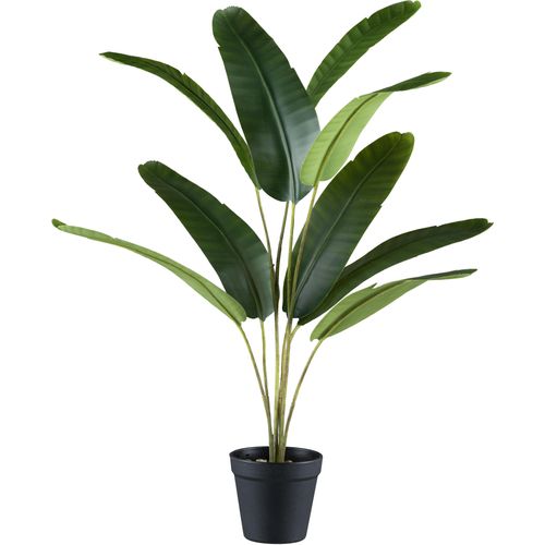 4064118241218 - Kunstpalme CREATIV GREEN Bananenpflanze grün H65cm Kunststoff Kunstpflanzen mit neun Blattwedeln 4064118241218 - Kunstpalme CREATIV GREEN Bananenpflanze grün H65cm Kunststoff Kunstpflanzen mit neun Blattwedeln