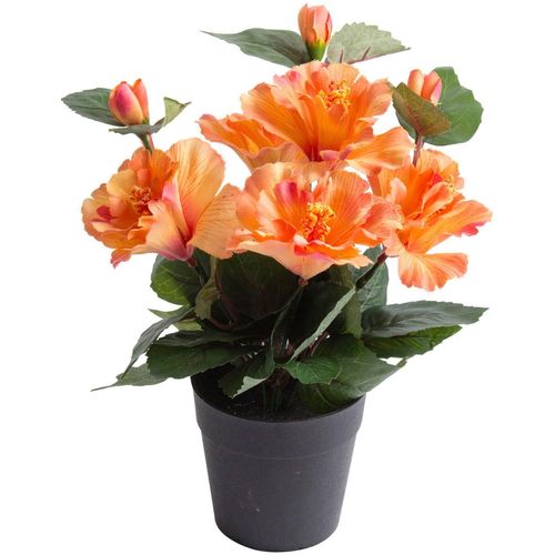 8505451848048 - Kunstblume BOTANIC-HAUS Hibiskus im Topf Kunstpflanzen Gr Ø H 20 cm x 27 cm 1 St orange (pfirsich lachs) Kunst-Blumen 8505451848048 - Kunstblume BOTANIC-HAUS Hibiskus im Topf Kunstpflanzen Gr Ø H 20 cm x 27 cm 1 St orange (pfirsich lachs) Kunst-Blumen
