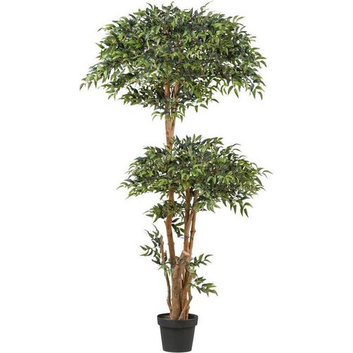 4064118249702 - P & B Kunstpflanze Grün Kunststoff 170 cm mit Naturstamm Dekoration Blumen & Zubehör Kunstpflanzen 4064118249702 - P & B Kunstpflanze Grün Kunststoff 170 cm mit Naturstamm Dekoration Blumen & Zubehör Kunstpflanzen