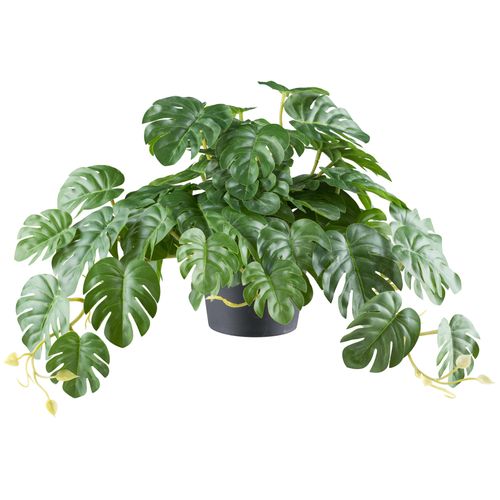 4064118242574 - Kunstpflanze CREATIV GREEN Splitphilodendron grün H40cm Ø24cm Kunststoff Kunstpflanzen mit naturgetreuem Blattwerk 4064118242574 - Kunstpflanze CREATIV GREEN Splitphilodendron grün H40cm Ø24cm Kunststoff Kunstpflanzen mit naturgetreuem Blattwerk