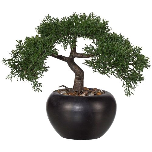 4064118039693 - Kunstpflanze CREATIV GREEN Bonsai Kunstpflanzen Gr H 26 cm 1 St grün Künstliche Zimmerpflanzen 4064118039693 - Kunstpflanze CREATIV GREEN Bonsai Kunstpflanzen Gr H 26 cm 1 St grün Künstliche Zimmerpflanzen