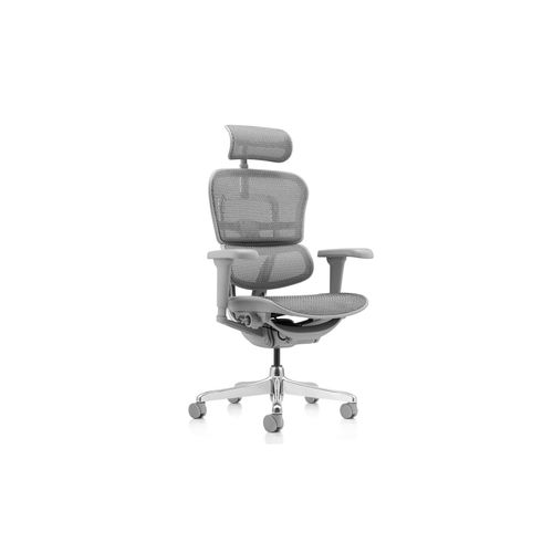 4064323045649 - Luxus Chefsessel ERGOHUMAN ULTRA G GEN2 Netzstoff mit Armlehnen (höhenverstellbar) 4064323045649 - Luxus Chefsessel ERGOHUMAN ULTRA G GEN2 Netzstoff mit Armlehnen (höhenverstellbar)