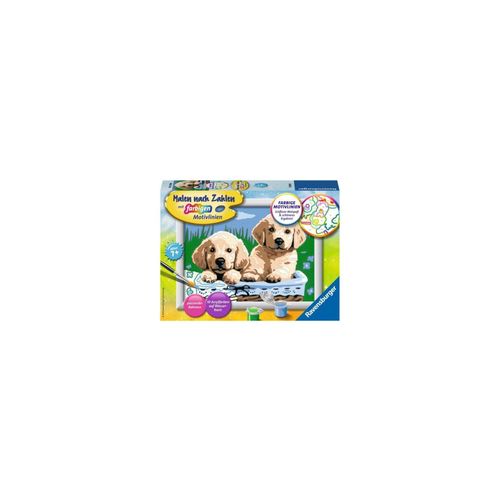 4005556278398 - Malen-nach-Zahlen Süße Hundewelpen mehrfarbig 4005556278398 Ravensburger 4005556278398 - Malen-nach-Zahlen Süße Hundewelpen mehrfarbig 4005556278398 Ravensburger