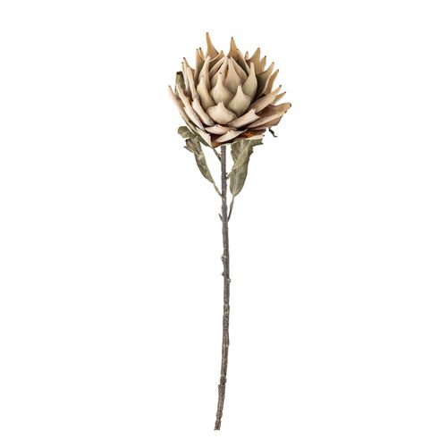 5711173332083 - Protea Stiel Künstliche Blume Ø 20 x H76 cm