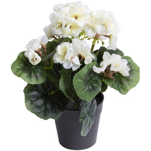 8505451850003 - Kunstblume BOTANIC-HAUS Geranie mit 6 Stielen Kunstpflanzen Gr Ø H 18 cm x 26 cm 1 St beige (creme weiß) Kunst-Blumen 8505451850003 - Kunstblume BOTANIC-HAUS Geranie mit 6 Stielen Kunstpflanzen Gr Ø H 18 cm x 26 cm 1 St beige (creme weiß) Kunst-Blumen