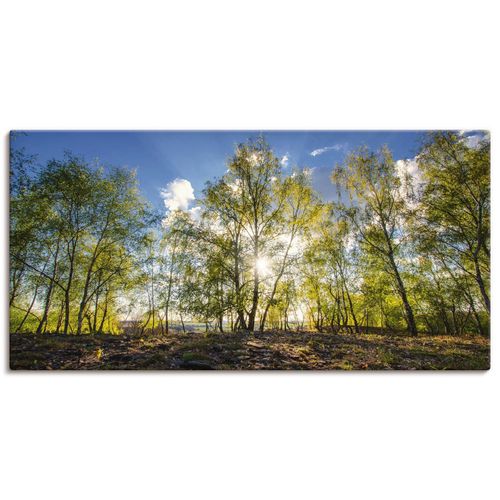 4062144277089 - Wandbild ARTLAND Frühlingssonne Bilder Gr B H 150 cm x 75 cm Leinwandbild Wald Querformat 1 St grün Bild Metallbild Metallbilder Bilder als Alubild Leinwandbild Wandaufkleber oder Poster in versch Größen