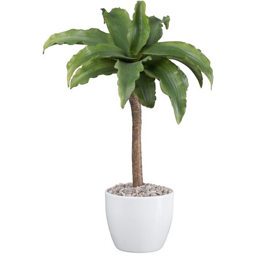 4064118189664 - Kunstpflanze CREATIV GREEN Agave Attenuata grün H35cm Kunstpflanzen mit Kies