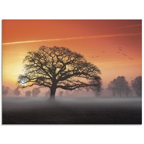 4055327649070 - Glasbild ARTLAND Filigran und mehr Bilder Gr B H 80 cm x 60 cm Glasbild Bäume Querformat 1 St orange Bild Glasbild Glasbilder Bilder in verschiedenen Größen 4055327649070 - Glasbild ARTLAND Filigran und mehr Bilder Gr B H 80 cm x 60 cm Glasbild Bäume Querformat 1 St orange Bild Glasbild Glasbilder Bilder in verschiedenen Größen