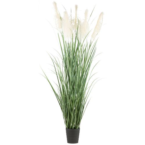 4064118242413 - Kunstgras CREATIV GREEN Pampasgras grün H240cm Kunststoff Kunstpflanzen mit fünf Pampasgrasblüten 4064118242413 - Kunstgras CREATIV GREEN Pampasgras grün H240cm Kunststoff Kunstpflanzen mit fünf Pampasgrasblüten