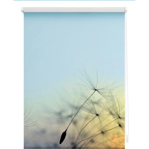 4251369834119 - Seitenzugrollo ORIGINAL Rollo Klemmfix ohne Bohren Verdunkelung Pusteblume - Blau Rollos Gr 80 cm stufenlos positionierbar 150 cm blau (blau weiß) Verdunkelungsrollos