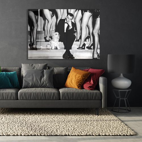 4067437105360 - Acrylglasbild QUEENCE Frank Sinatra Bilder Gr B H T 90 cm x 60 cm x 04 cm Schwarz-Weiß-Mann-Stars-Hund Querformat grau Acrylglasbilder Fine Art-Print in Galeriequalität 4067437105360 - Acrylglasbild QUEENCE Frank Sinatra Bilder Gr B H T 90 cm x 60 cm x 04 cm Schwarz-Weiß-Mann-Stars-Hund Querformat grau Acrylglasbilder Fine Art-Print in Galeriequalität