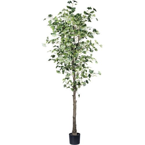 4064118181873 - Kunstpflanze CREATIV GREEN Gingkobaum Kunstpflanzen Gr H 33 cm 1 St grün Künstliche Zimmerpflanzen mit detailgetreuem Blattwerk