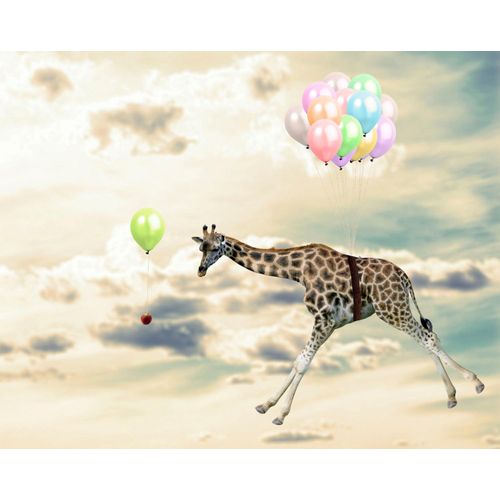 4049009421153 - Acrylglasbild QUEENCE fliegende Giraffe bunt (farbe bild(er) bunt) B120cm H80cm T24cm Bilder Fine Art-Print in Galeriequalität