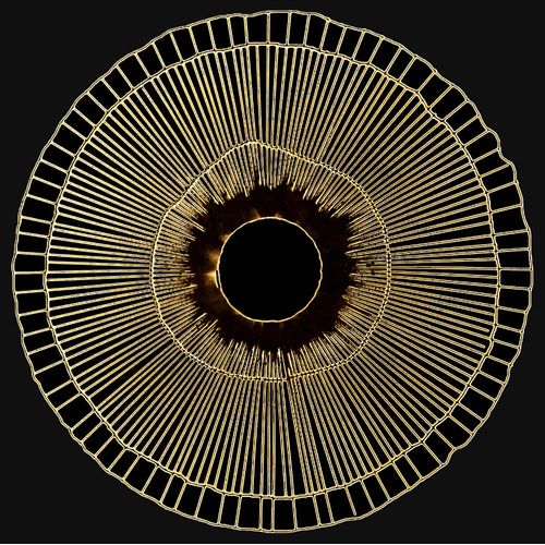 4067602803695 - Leinwandbild Das Auge gold (goldfarben) Bilder B H 70cm x 70cm Abstrakt quadratisch Leinwand Akustikbild mit sehr guten Schallabsorptions-Eigenschaften B70cm H70cm
