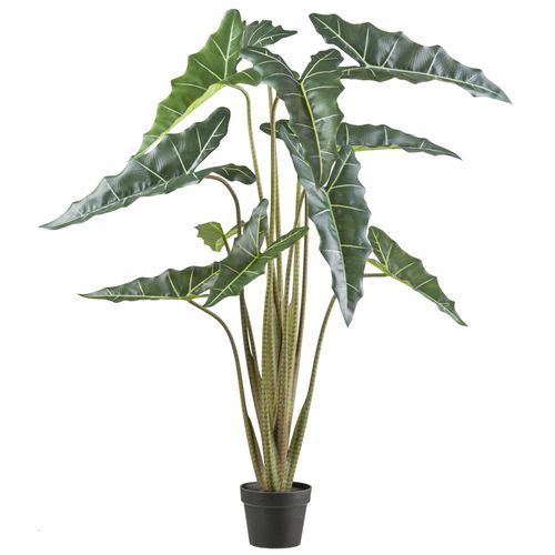 4064118242161 - Kunstpflanze CREATIV GREEN Alocasia zebrina sarian grün H130cm Kunststoff Kunstpflanzen mit gestreiftem Stamm