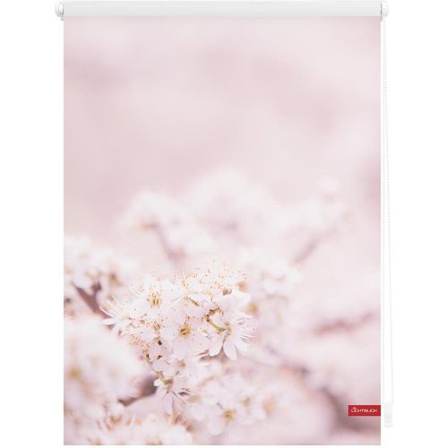 4251369835215 - Seitenzugrollo ORIGINAL Rollo Klemmfix ohne Bohren Verdunkelung Kirschblüten - Rosa Weiß Rollos Gr 100 cm stufenlos positionierbar 150 cm rosa (rosa weiß weiß) Kinder Kinderzimmer-Rollos 4251369835215 - Seitenzugrollo ORIGINAL Rollo Klemmfix ohne Bohren Verdunkelung Kirschblüten - Rosa Weiß Rollos Gr 100 cm stufenlos positionierbar 150 cm rosa (rosa weiß weiß) Kinder Kinderzimmer-Rollos