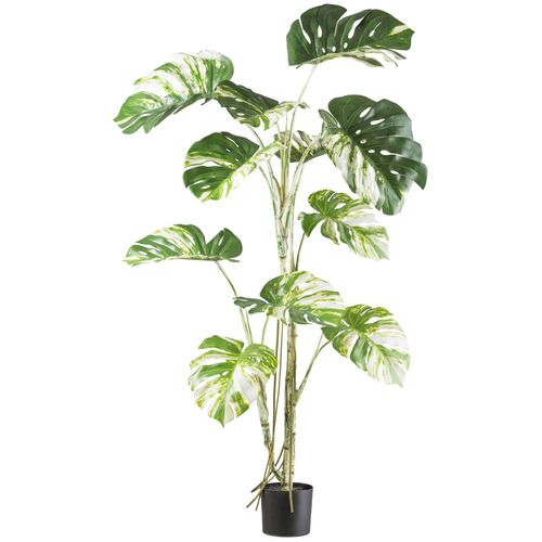 4064118242123 - Kunstbaum CREATIV GREEN Monstera deliciosa variegata grün (grünweiß) H160cm Kunststoff Kunstpflanzen mit grün-weißen Blättern 4064118242123 - Kunstbaum CREATIV GREEN Monstera deliciosa variegata grün (grünweiß) H160cm Kunststoff Kunstpflanzen mit grün-weißen Blättern