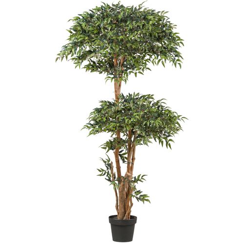 4064118241454 - Kunstpflanze CREATIV GREEN Ruscus grün H170cm Kunststoff Kunstpflanzen in toller Größe 4064118241454 - Kunstpflanze CREATIV GREEN Ruscus grün H170cm Kunststoff Kunstpflanzen in toller Größe