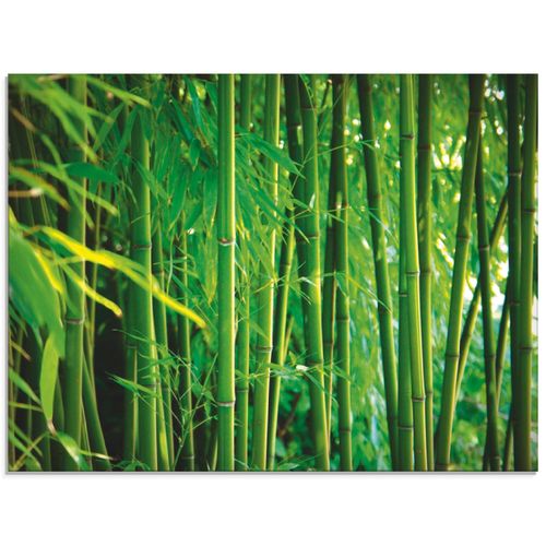 4055327324373 - Glasbild ARTLAND Bambus Bilder Gr B H 80 cm x 60 cm Glasbild Gräser Querformat 1 St grün Bild Glasbild Glasbilder Bilder in verschiedenen Größen 4055327324373 - Glasbild ARTLAND Bambus Bilder Gr B H 80 cm x 60 cm Glasbild Gräser Querformat 1 St grün Bild Glasbild Glasbilder Bilder in verschiedenen Größen