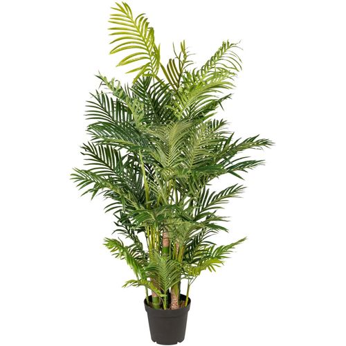 4003529775516 - Kunstpalme CREATIV GREEN Arecapalme Kunstpflanzen Gr H 170 cm 1 St grün Kunstpalme Kunstpalmen Kunstpflanzen 4003529775516 - Kunstpalme CREATIV GREEN Arecapalme Kunstpflanzen Gr H 170 cm 1 St grün Kunstpalme Kunstpalmen Kunstpflanzen