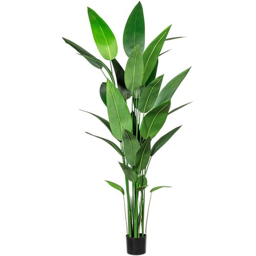 4064118971344 - Künstliche Zimmerpflanze CREATIV GREEN Wassercanna Kunstpflanzen Gr H 210 cm 1 St grün Künstliche Zimmerpflanzen 4064118971344 - Künstliche Zimmerpflanze CREATIV GREEN Wassercanna Kunstpflanzen Gr H 210 cm 1 St grün Künstliche Zimmerpflanzen