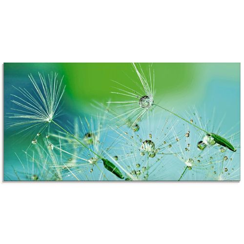 4059745303811 - Glasbild ARTLAND Glitzernde Pustblumen mit Wassertropfen Bilder Gr B H 100 cm x 50 cm Glasbild Blumen Querformat 1 St blau Bild Glasbild Glasbilder Bilder in verschiedenen Größen