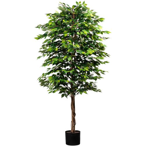 4064118241560 - Kunstpflanze CREATIV GREEN Ficus benjamini grün Kunstpflanzen H 210cm Kunststoff mit Naturstamm H210cm