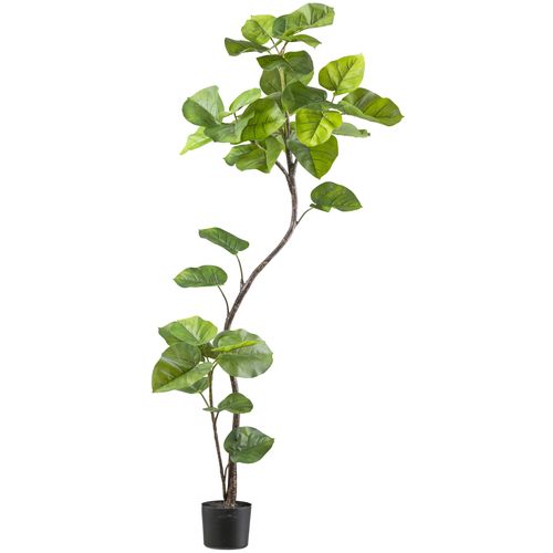 4064118241782 - Kunstpflanze CREATIV GREEN Ficus umbellata grün H160cm Kunststoff Kunstpflanzen mit tollem Blattwerk 4064118241782 - Kunstpflanze CREATIV GREEN Ficus umbellata grün H160cm Kunststoff Kunstpflanzen mit tollem Blattwerk