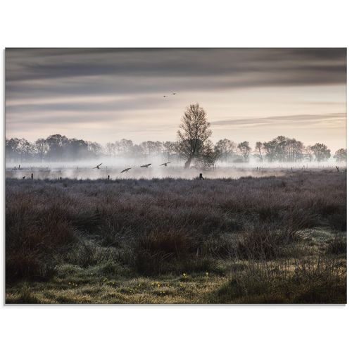 4055327869157 - Glasbild ARTLAND Notlandung Bilder Gr B H 80 cm x 60 cm Glasbild Wiesen & Bäume Querformat 1 St braun Bild Glasbild Glasbilder Bilder in verschiedenen Größen