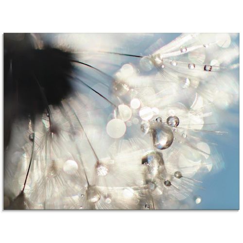 4058661086563 - Glasbild ARTLAND Pusteblume Engelflügel Bilder Gr B H 80 cm x 60 cm Glasbild Blumen Querformat 1 St blau Bild Glasbild Glasbilder Bilder in verschiedenen Größen