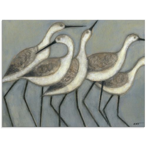 4058661752338 - Glasbild ARTLAND Küstenvögel II Bilder Gr B H 80 cm x 60 cm Glasbild Vögel Querformat 1 St grau Bild Glasbild Glasbilder Bilder in verschiedenen Größen