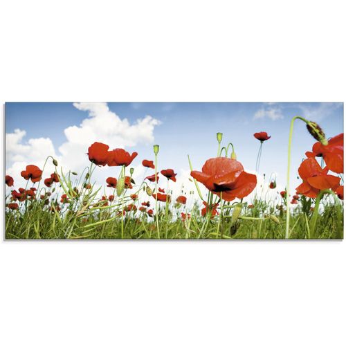 4055327013864 - Glasbild ARTLAND Feld mit Mohnblumen unter Himmel Bilder Gr B H 125 cm x 50 cm Glasbild Blumenwiese 1 St bunt Glasbilder in verschiedenen Größen 4055327013864 - Glasbild ARTLAND Feld mit Mohnblumen unter Himmel Bilder Gr B H 125 cm x 50 cm Glasbild Blumenwiese 1 St bunt Glasbilder in verschiedenen Größen