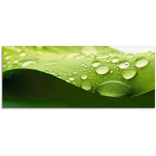 4055327045469 - Glasbild ARTLAND Blatt Bilder Gr B H 125 cm x 50 cm Glasbild Zen 1 St grün Glasbilder in verschiedenen Größen