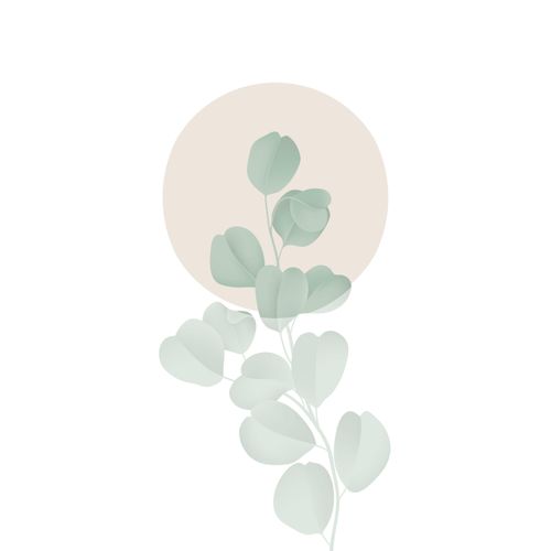 4049009485490 - Leinwandbild QUEENCE Blätter rosa Kreis grün (farbe bild(er) grün) B80cm H120cm T2cm Canvas Holzrahmen Bilder Premium-Leinwandstoff Handarbeit aus Deutschland