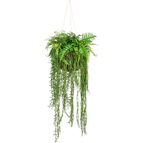 4064118842477 - Künstliche Zimmerpflanze CREATIV GREEN Dekokugel zum Hängen Kunstpflanzen Gr Ø H 40 cm x 120 cm 1 St grün Künstliche Zimmerpflanze Zimmerpflanzen 4064118842477 - Künstliche Zimmerpflanze CREATIV GREEN Dekokugel zum Hängen Kunstpflanzen Gr Ø H 40 cm x 120 cm 1 St grün Künstliche Zimmerpflanze Zimmerpflanzen