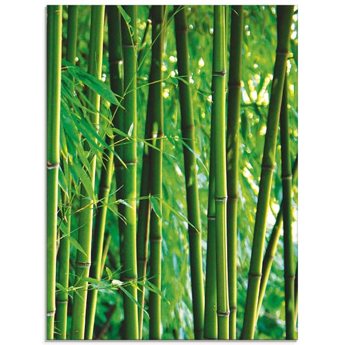 4055327428125 - Glasbild ARTLAND Bambus Bilder Gr B H 60 cm x 80 cm Glasbild Gräser Hochformat 1 St grün Bild Glasbild Glasbilder Bilder in verschiedenen Größen